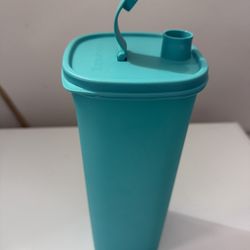 Bote Largo Tupperware 