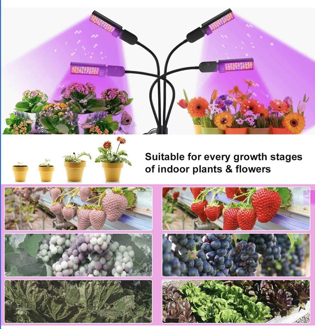 Grow Light ! New In Box !