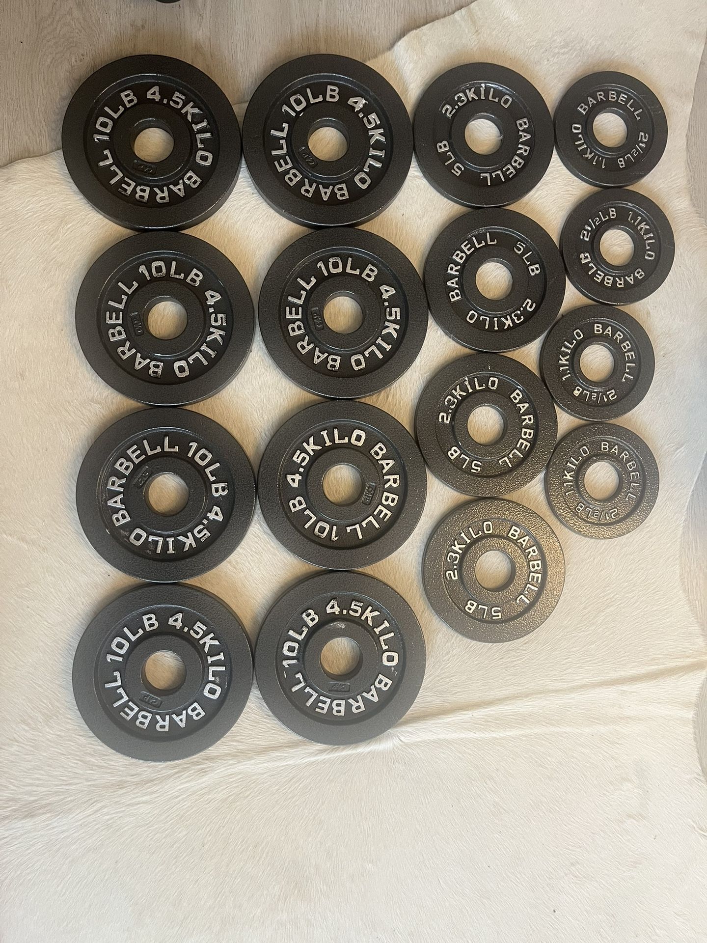 Cast Iron Plates, Weight Lifting