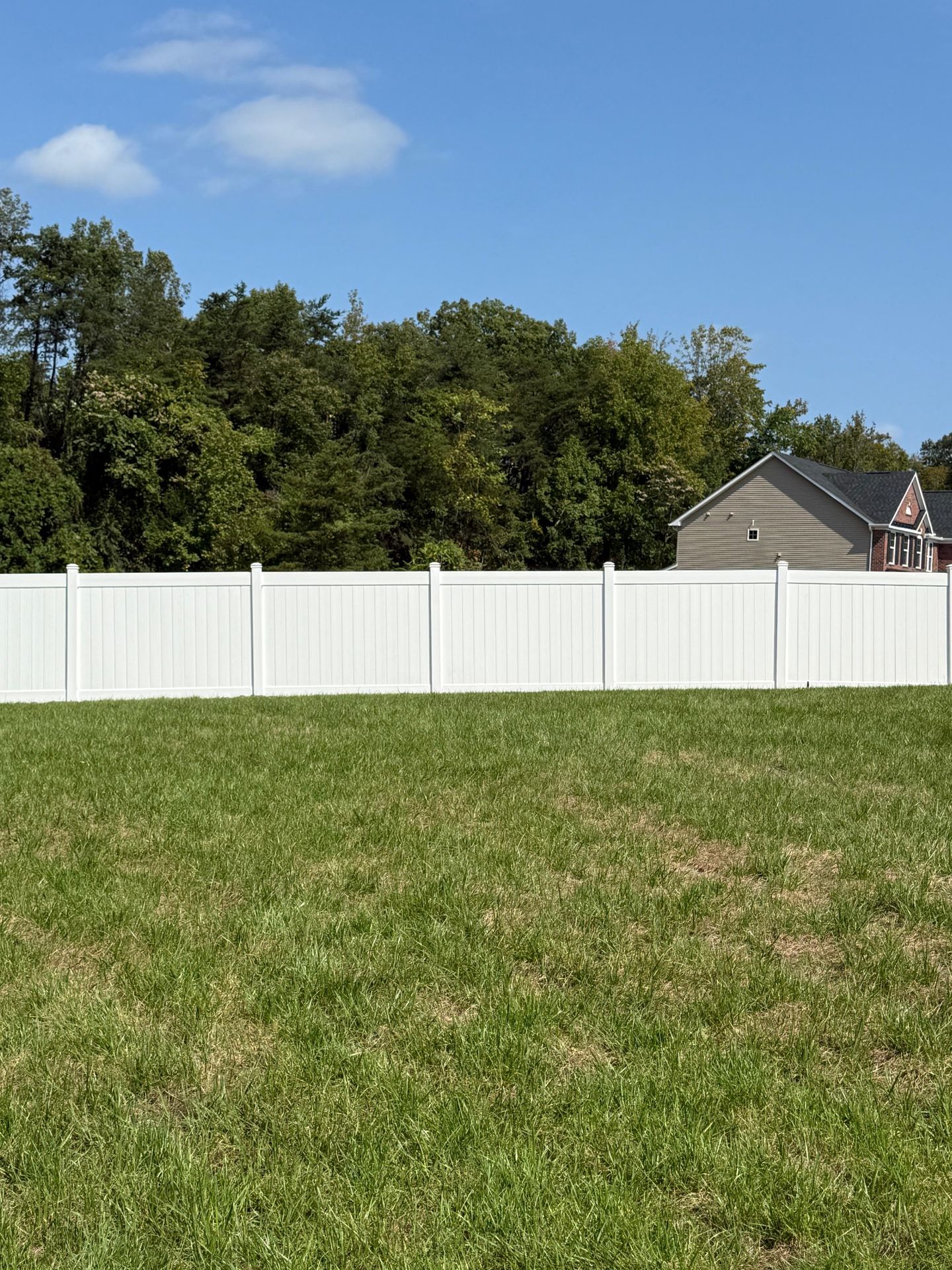 Fence