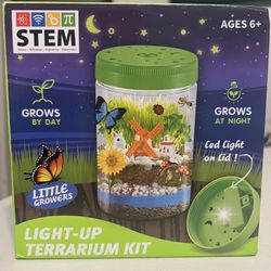 Light Up Terrarium Kit