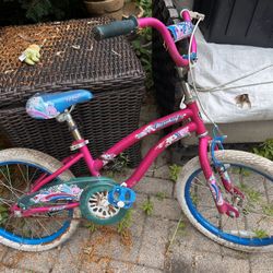 Girls Bike Needs A New Seat Wd40 On The Chain 