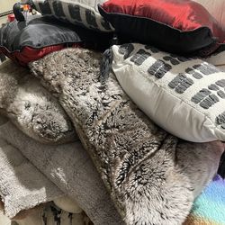 Lot of 10 Cushion recently washed  $20