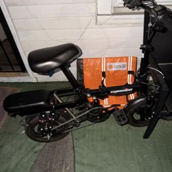 E Bike ( Very Reliable) 