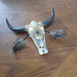 Native American Bull Head