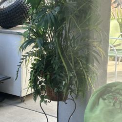 Indoor-Outdoor Plant & Stand 