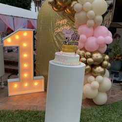Balloon Backdrop With Number