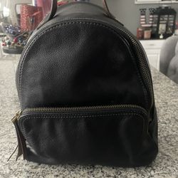 Leather Fossil Backpack