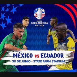 Lower Level México Ecuador Copa América 