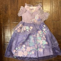 Isabella Dress From Encanto 