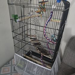 Bird Cage