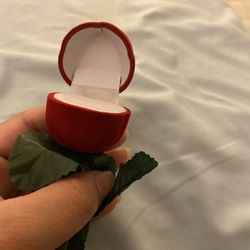 Red Rose Flower 🌹 Ring Case 