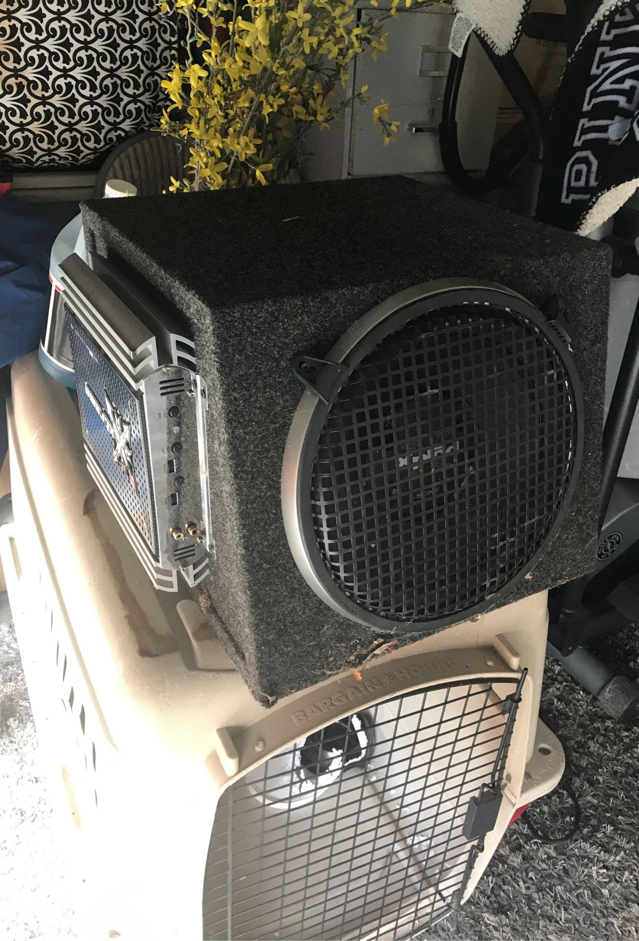 Bocina ,speaker 12” y amplificador