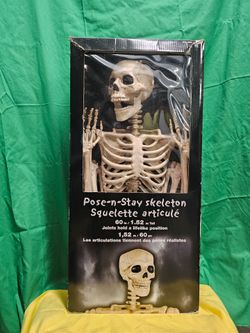 Halloween Decor - 5' Skeleton