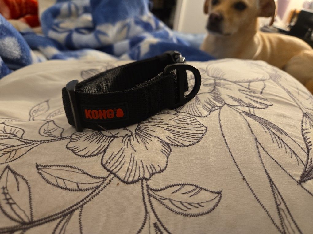 Kong Puppy Collar