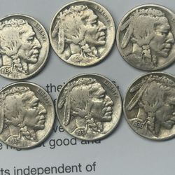 Lot Of 6 RARE & Imaculate Buffalo Nickels 