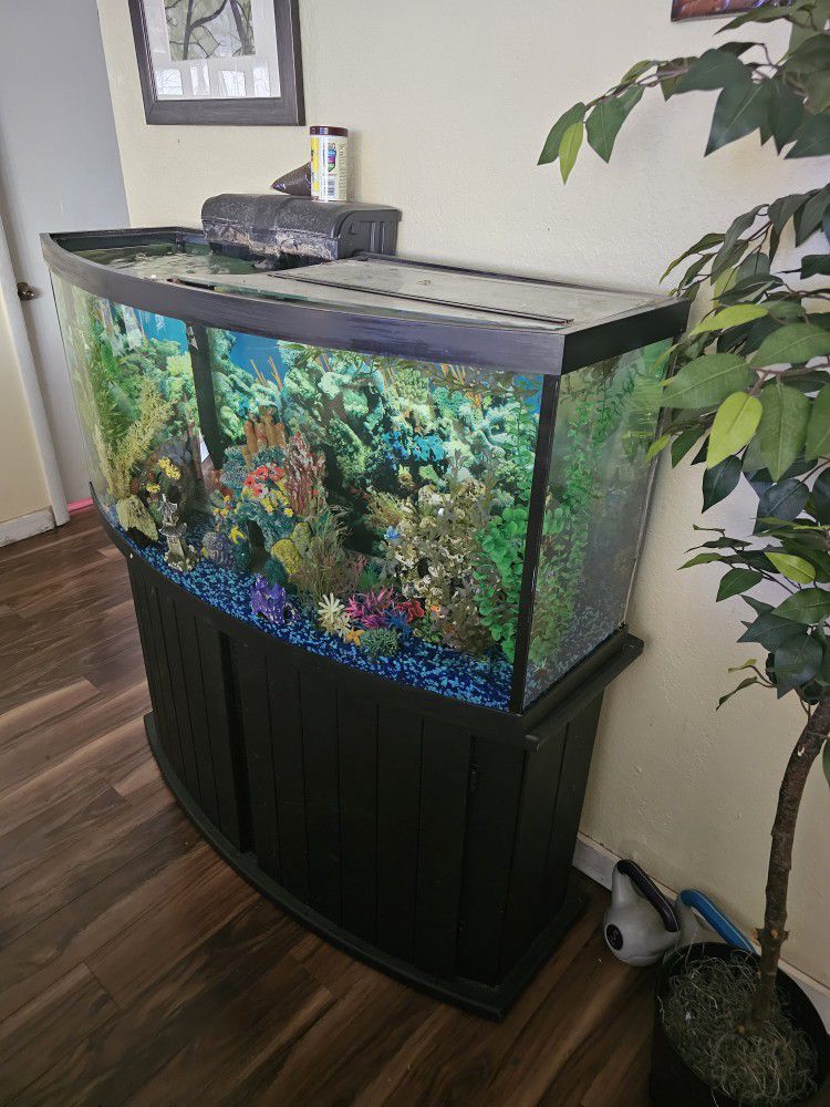 Bow Front 75 Gallon 