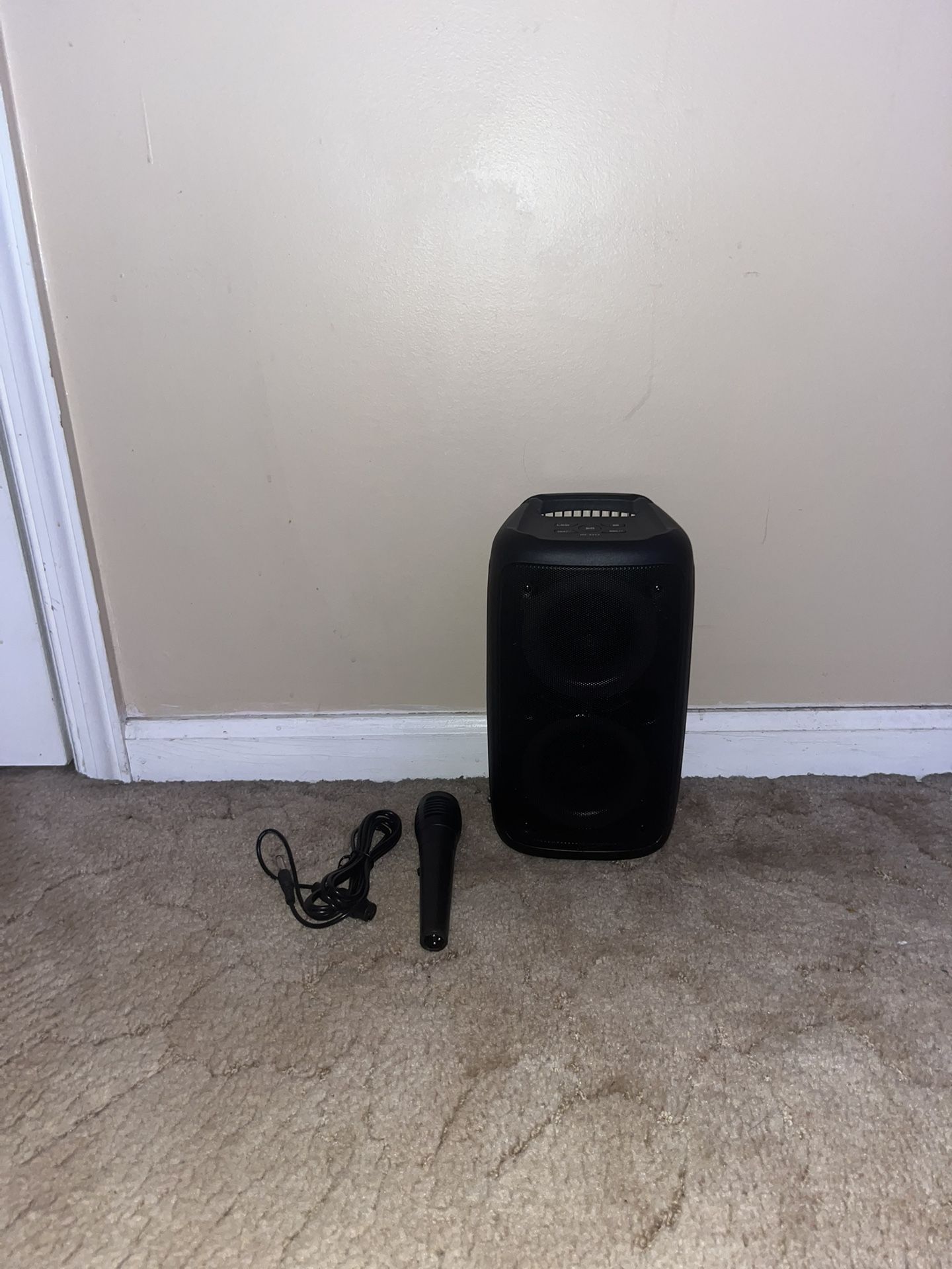 Party Speaker