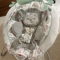 Baby Bouncer 