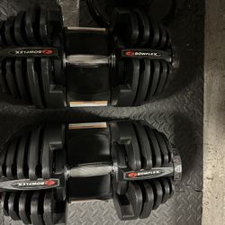 Bow flex Selectech 1090 Dumbbells 