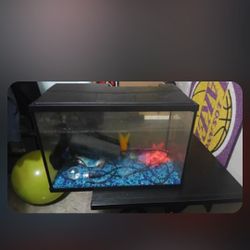 Fish Tank