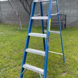 6 Ft Luiville Ladder 