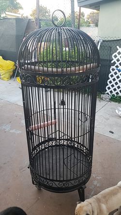 Bird cage