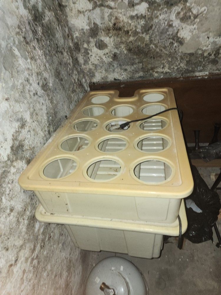 Hydroponic System