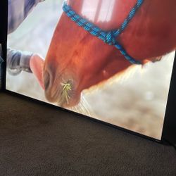 65 inch Roku Tv