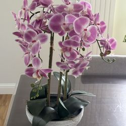 Allen + Roth Artificial Orchid - New