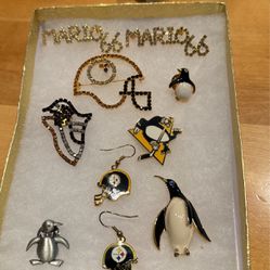 Pittsburgh Penguins And Steelers Sports Pins