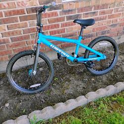 20" DynaCraft BMX Bike 