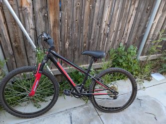 Mountain bike