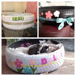 Dog beds
