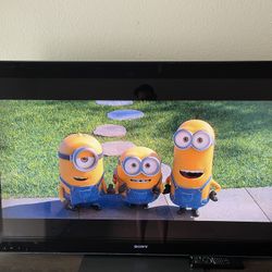 55 Inch Sony Tv