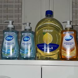 Softsoap Ans Dial Hand Soap 
