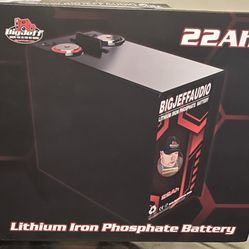 Lithium Iron Phosphate Battery 