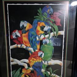 Barbara Wallace 1988 Macaw Parrots