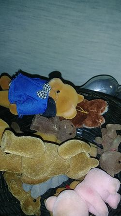 Teddy bears