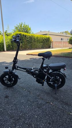 electric bicycle