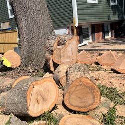 fresh sod cut eve morning 