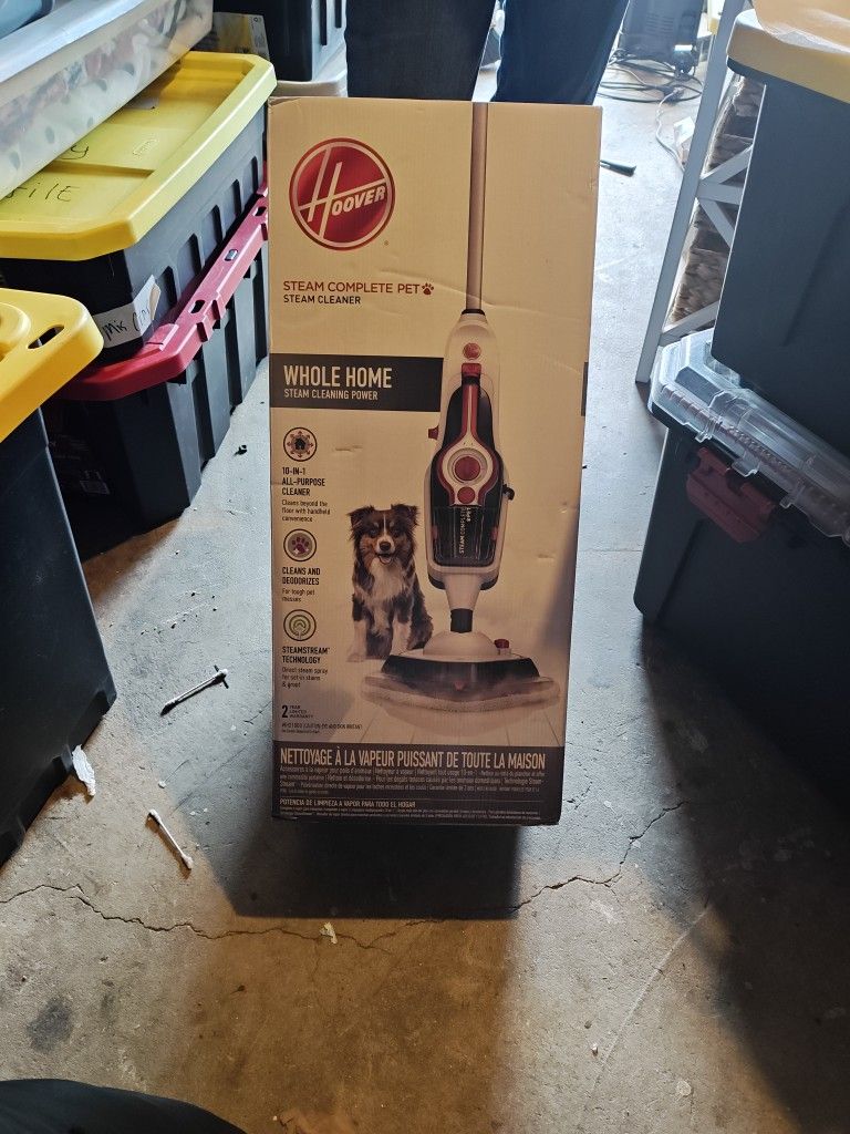 Steam Cleaner
