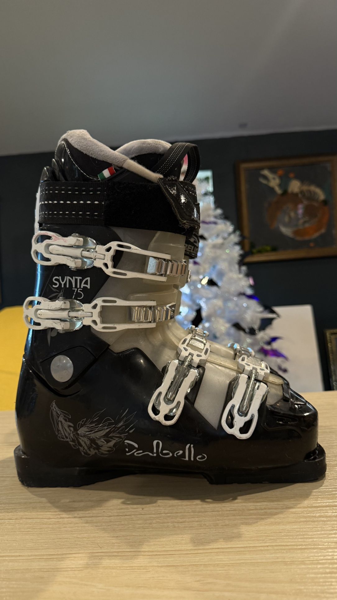 Ski Boots (9 Women’s) 