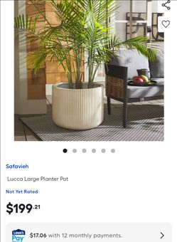 Safavieh Lucca Large Planter Pot