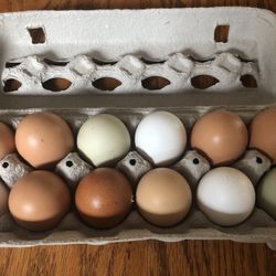 Fresh Organic Chicken Eggs 