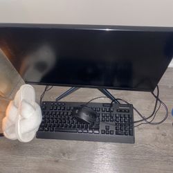 Gaming Monitor 