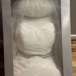 Wedding Dress And Veil