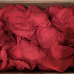 MOTHER’S DAY | PRESERVED ROSE PETALS BOX | RED | NEW | MEDIUM 