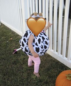Cow Costume- Toddler