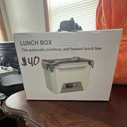 Electric Lunch Box